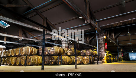 Vieillissement Hennessy entrepôt où les eaux-de-vie sont stockés dans des fûts de chêne à maturité avant le mélange. Banque D'Images