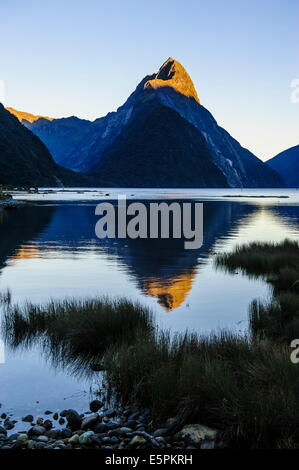 Tôt le matin, la lumière dans le Milford Sound, Fiordland National Park, site de l'UNESCO, l'île du Sud, Nouvelle-Zélande Banque D'Images