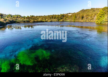 Te Waikoropupu springs, sources d'eau douce la plus claire dans le monde, Takaka, Golden Bay, Tasman, île du Sud, Nouvelle-Zélande Banque D'Images