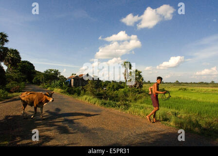 Agriculteur avec une vache près de Kampi. Kratie. Ou Kraches Kratié est une province (khaet) du Cambodge situé dans le nord-est. Il frontières S Banque D'Images