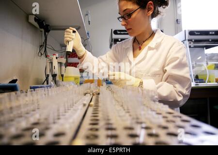 L'unité 613 de l'Institut national français de la santé et de la Recherche Médicale (INSERM) effectue des recherches sur et moléculaire Banque D'Images