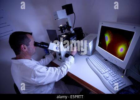 L'unité 613 de l'Institut national français de la santé et de la Recherche Médicale (INSERM) effectue des recherches sur et moléculaire Banque D'Images