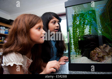 Heureux les filles à la recherche d'une pêche dans fishtank Banque D'Images