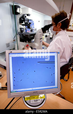 À l'aide d'un technicien lumière microscope pour injecter le sperme dans un ovule (ovocyte) au cours de la fécondation in vitro (FIV) Ce Banque D'Images