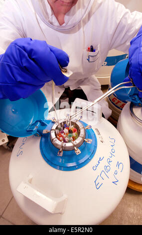 La cryopréservation de sperme congelé de pailles et d'embryons dans l'azote liquide, procréation médicalement assistée, Limoges Laboratoire Banque D'Images
