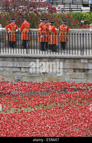 Tour de Londres, Londres, Royaume-Uni. 5e août 2014. Les Beefeaters à la tour alors qu'ils attendaient l'arrivée du duc et de la duchesse de Cambridge et le prince Harry. Les coquelicots sont 888 246 à être plantés dans le fossé sec pour représenter les Britanniques ont perdu la vie au cours de la Première Guerre mondiale 1. Crédit : Matthieu Chattle/Alamy Live News Banque D'Images