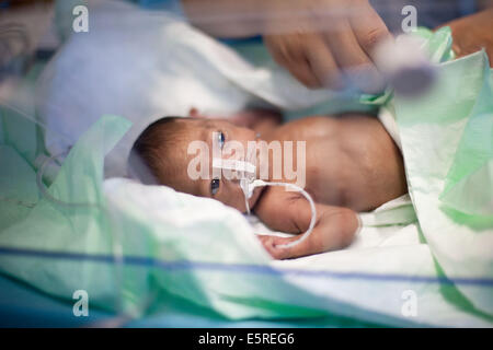 Bébé nouveau-né prématuré placé sous assistance respiratoire, département de néonatalogie, hôpital Robert Debré, Paris, France. Banque D'Images