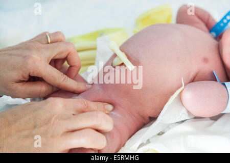 Pédiatre examinant un bébé nouveau-né. Service de maternité, Hôpital Cochin, Paris, France. Banque D'Images