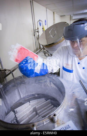 Technician holding un sac congelé les cellules souches hématopoïétiques, l'unité de thérapie cellulaire, le CSTC à Clamart, France. Banque D'Images