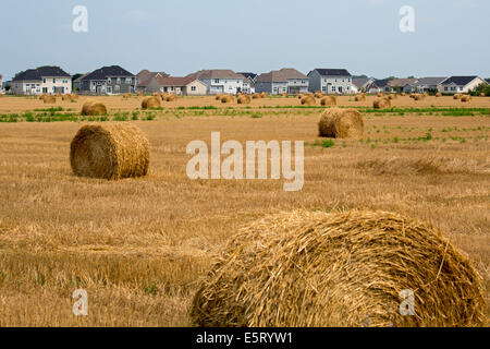 Perrysburg, Ohio - un nouveau développement suburbain empiète sur des terres agricoles près de Tolède. Banque D'Images
