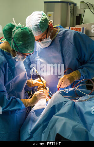 Traitement du ronflement l'amygdalectomie (ablation des amygdales), son stagiaire (à gauche) et un chirurgien, hôpital Foch, Suresnes, France. Banque D'Images