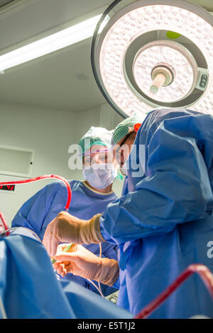 Traitement du ronflement l'amygdalectomie (ablation des amygdales), son stagiaire (à gauche) et un chirurgien, hôpital Foch, Suresnes, France. Banque D'Images