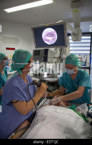 Le patient sous endoscopie du sommeil afin de déterminer les causes du ronflement, hôpital Foch, Suresnes, France. Banque D'Images