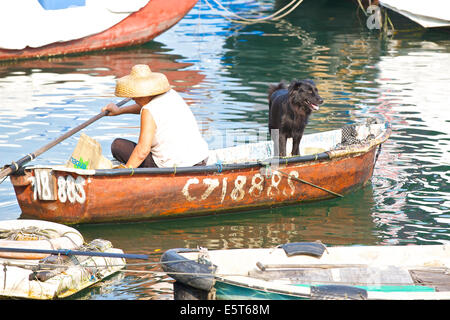 Femme chinoise et son chien pagayer à travers le Causeway Bay Typhoon Shelter, Hong Kong. Banque D'Images