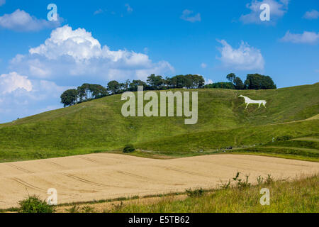 Le Vega Cheval Blanc près de Calne Wiltshire England UK. JMH6251 Banque D'Images