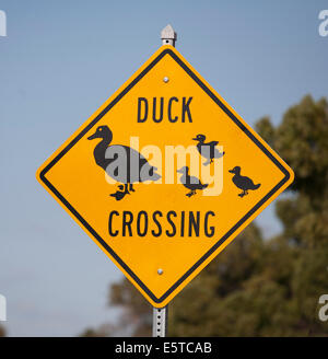 Image d'un panneau routier à Sarasota en Floride près d'un étang où les familles de canards en fait traverser la route. Banque D'Images