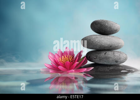Spa still life with water lily et zen stone dans une sérénité intérieure Banque D'Images