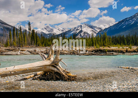 Vue panoramique sur le Parc National de Kootenay en Colombie-Britannique Banque D'Images