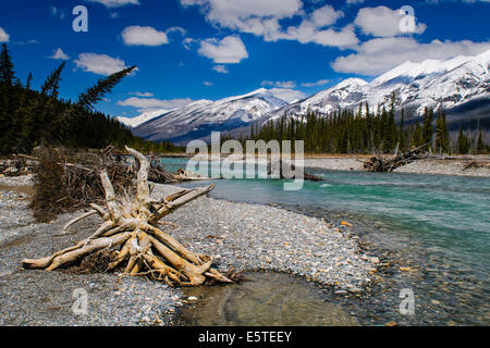 Vue panoramique sur le Parc National de Kootenay en Colombie-Britannique Banque D'Images