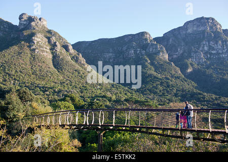 Centenaire de Kirstenbosch Tree Canopy Walkway Banque D'Images