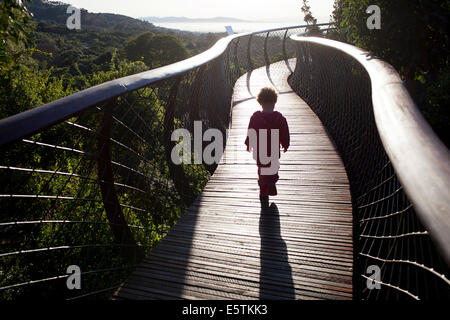Jeune fille qui se profile sur l'arbre du Centenaire de Kirstenbosch Canopy Walkway Banque D'Images