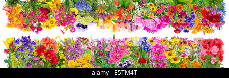 Big d'été floral fantastique jeu de collage des frontières. Isolées. Toutes les images intégrales vous pouvez trouver dans mon portefeuille Banque D'Images