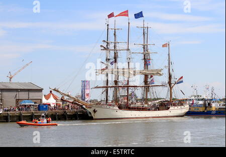 Dutch barque à coque d'acier et à l'Europa grand voilier Juillet 2014 Tall Ship Races dans Harlingen, Pays-Bas Banque D'Images