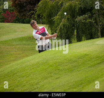 Nailcote Hall dans le Warwickshire, Royaume-Uni. 6 Août, 2014. Aliments à la ferme par 3 au Championnat Britannique Nailcote Hall dans le Warwickshire uk pour pro,amatuer et célébrités Crédit : Steven re/Alamy Live News Banque D'Images