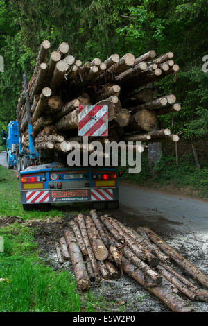 Rayé rouge et blanc marqueur charge arrière après le chargement de troncs d'arbres abattus dans la forêt de grumier sur Banque D'Images