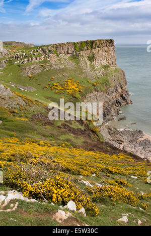 Royaume-uni, Pays de Galles, Swansea, Gower, Rhossili Gorse, falaises, au-dessus de la Baie d'automne cloutés Banque D'Images