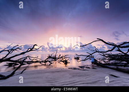 Un photographe capte le magnifique lever du soleil sur le bois flotté sur la plage, Blackrock Trail, Big Talbot Island State Park, FL Banque D'Images