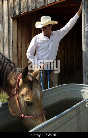 George Gaber le propriétaire de la Reata ranch près de Kyle, Saskatchewan, Canada. Banque D'Images