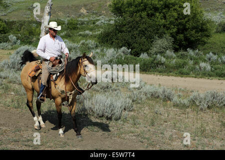 George Gaber le propriétaire de la Reata ranch près de Kyle, Saskatchewan, Canada. Banque D'Images