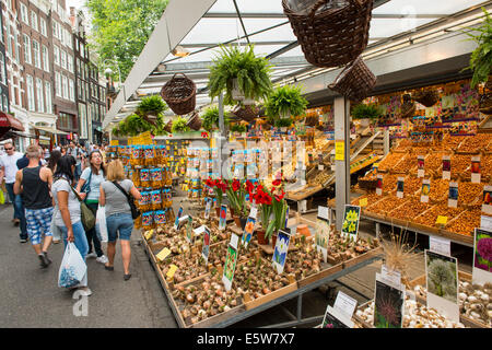 Marché aux Fleurs, Amsterdam, Hollande, Pays-Bas Banque D'Images