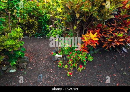 La Galaxie Jardin, jardins de la paix Paleaku, côte de Kona, Big Island, Hawaii USA Banque D'Images