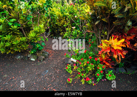 La Galaxie Jardin, jardins de la paix Paleaku, côte de Kona, Big Island, Hawaii USA Banque D'Images