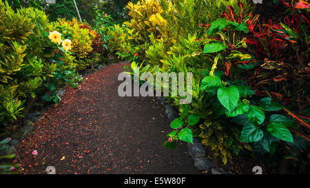 La Galaxie Jardin, jardins de la paix Paleaku, côte de Kona, Big Island, Hawaii USA Banque D'Images