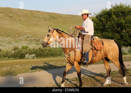 George Gaber le propriétaire de la Reata ranch près de Kyle, Saskatchewan, Canada. Banque D'Images