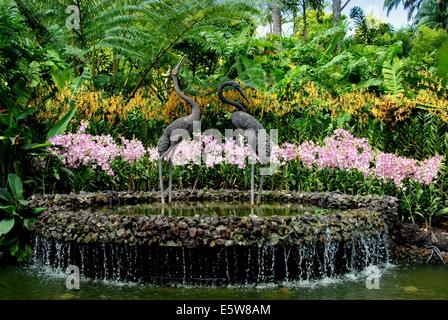 Singapour : Fontaine de la grue au National Orchid Garden at Singapore Botanic Gardens Banque D'Images