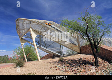 Pont crotale à Tucson en Arizona Banque D'Images