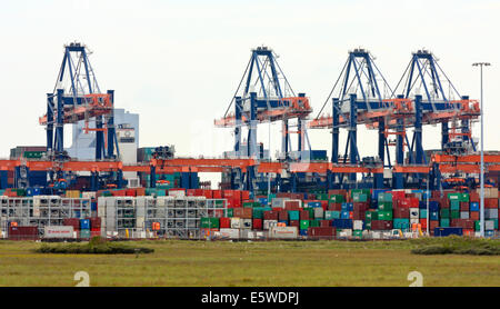 Des ponts pour conteneurs à un terminal à conteneurs à Europoort 2 à Rotterdam, Pays-Bas Banque D'Images