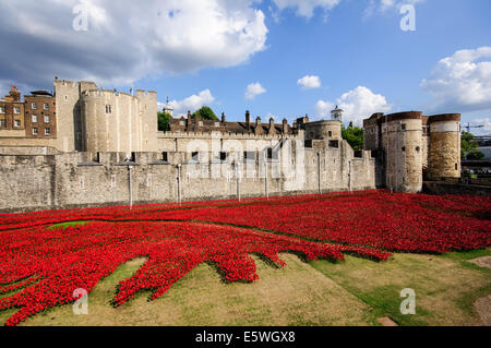 Vue de la Tour de Londres avec des coquelicots. Banque D'Images