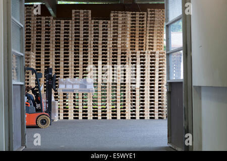 Employé d'usine à l'aide de chariot élévateur Banque D'Images