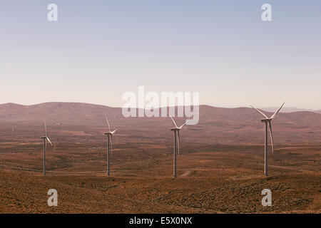 Rangée d'éoliennes dans le paysage rural, l'État de Washington, USA Banque D'Images