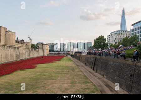 Coquelicots en céramique commencer à combler le fossé à la Tour de Londres sur l'anniversaire du début de la Première Guerre mondiale. Banque D'Images