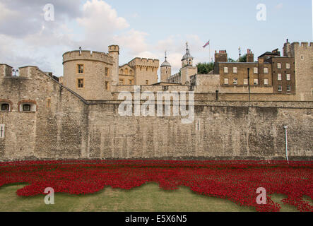 Coquelicots en céramique commencer à combler le fossé à la Tour de Londres sur l'anniversaire du début de la Première Guerre mondiale. Banque D'Images