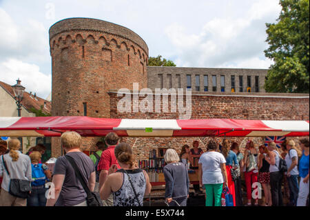 Shopping les piétons à la recherche autour du livre se trouve à la marché du livre de Deventer aux Pays-Bas le 3 août 2014. Banque D'Images