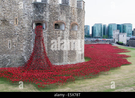 Coquelicots en céramique commencer à combler le fossé à la Tour de Londres sur l'anniversaire du début de la Première Guerre mondiale. Banque D'Images