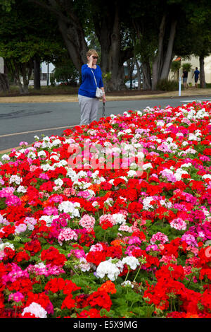 Femme à la recherche de fleurs en face de l'Rotorua Musée d'art et d'histoire situé dans le jardins du gouvernement à Rotorua, Baie de Banque D'Images