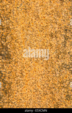 Vieux métal - Gros plan d'une plaque de fer rouillé Banque D'Images